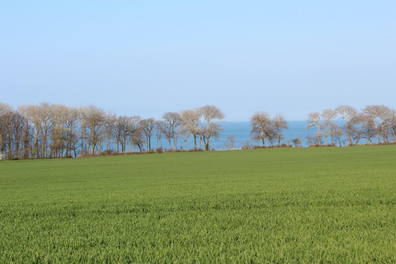 Ferienwohnungen Am Museumshof Fehmarn Dış mekan fotoğraf